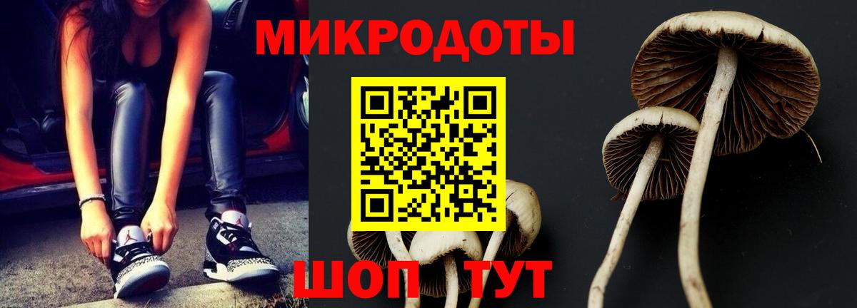 Галлюциногенные грибы Psilocybe  Вход с VPN  Благодарный  Галлюциногенные грибы прущие грибы 